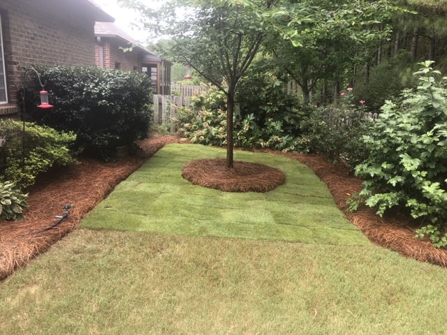 Better Lawn and Gardens